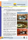 NEWSLETTER AGOSTO 2010