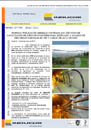 NEWSLETTER JULIO 2011