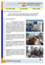 NEWSLETTER DICIEMBRE 2017
